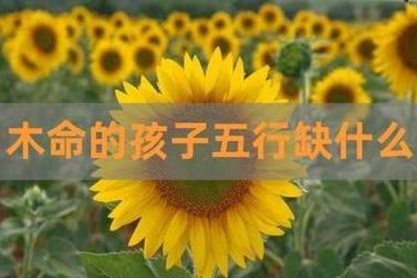 木命之人：如何以围墙护佑心灵的栖息地