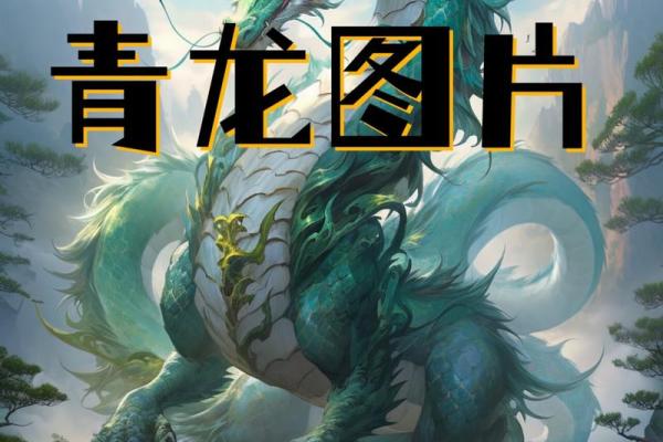 命犯青龙：揭示你命运中的神秘力量与转机