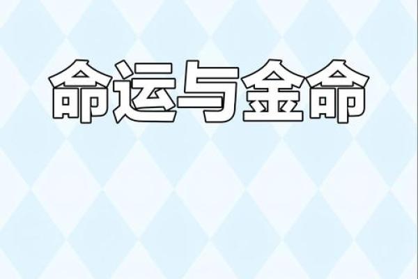 2019年金命人的命运解析：机遇与挑战并存的年份