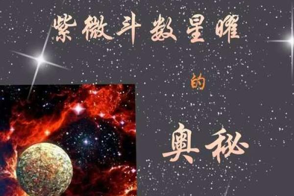 手指斗数的奥秘：揭示你的命运之路