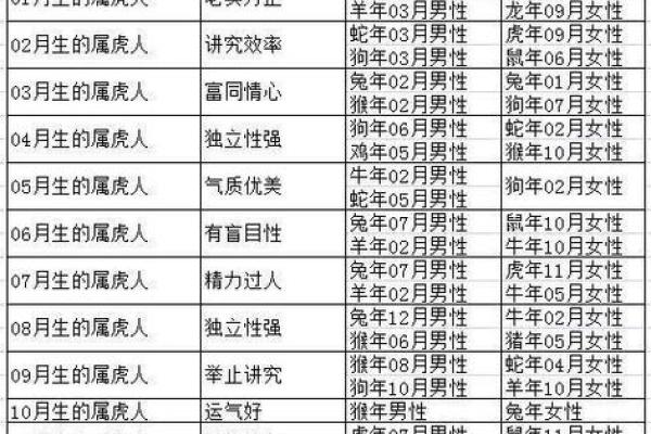 属虎的命运揭秘：虎年出生的你有何特别之处？