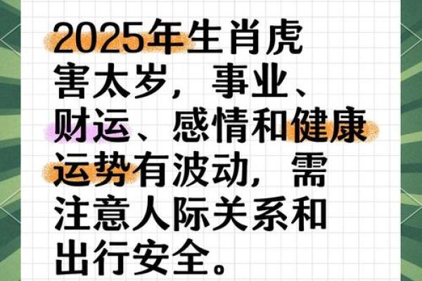 属虎的命运揭秘：虎年出生的你有何特别之处？