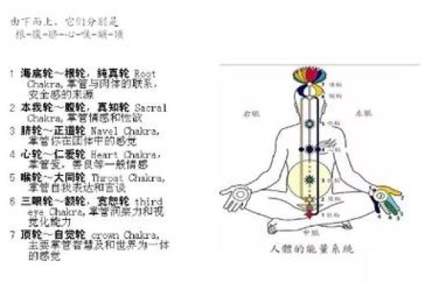 命里土命金旺的深层解读与人生启示