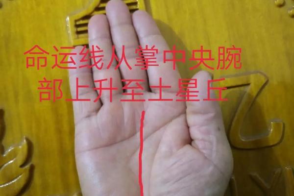 事业晚成的命运解析：成就与机遇的交汇点