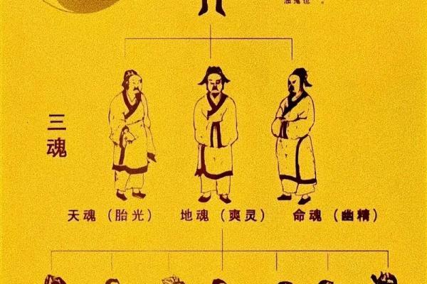 五马六畜命：探寻命理中的神秘与人生轨迹
