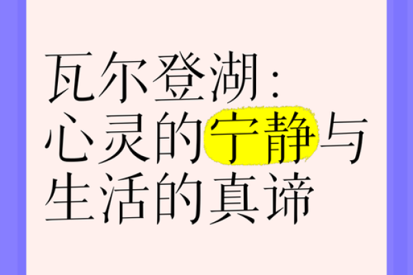 如何在喧嚣的生活中找到内心的宁静：探寻生活的真谛与意义