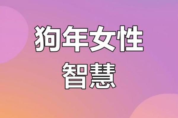 木命属狗的人起小名的魅力与技巧