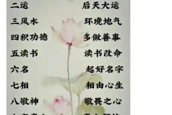 命理揭秘：如何找到你人生的最佳运势之路