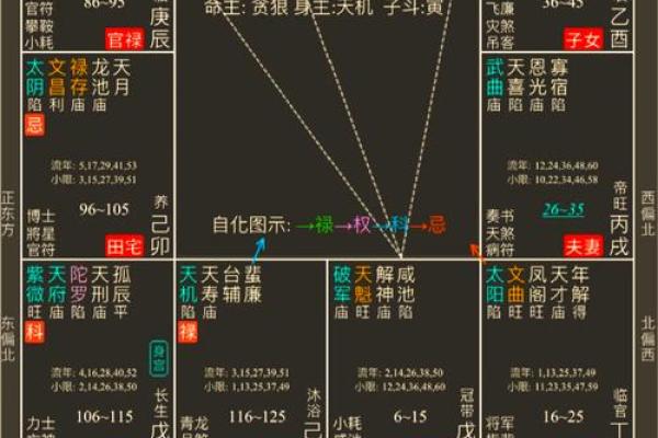 探索命盘的奥秘：如何通过命盘解读人生之路？