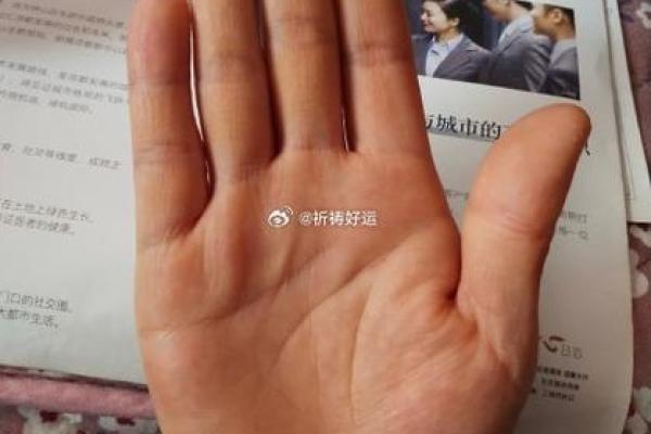 手相分析：多条主线揭示你的命运玄机
