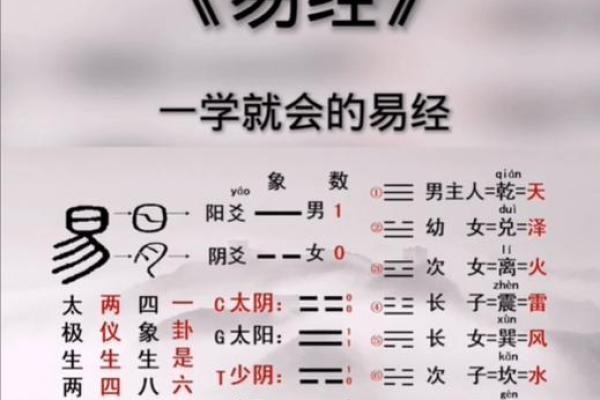 九五之命的神秘时辰：探寻命理背后的智慧与玄妙