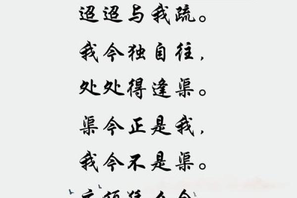 有泪命征途：在风雨中追寻真我之路