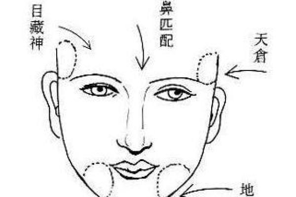 饿火命的运势解析：适合的号码与命理之道