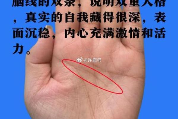 手足命理解析：从手脚看你的人生运势与性格特征