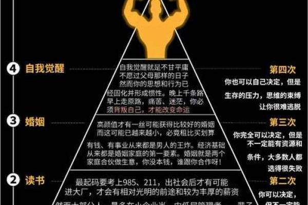 19769年的命理解析：探索五十年后的生命轨迹与气运变化