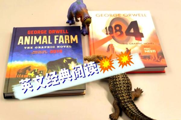 1984年出生的男子命运揭秘：探索个性与人生历程的独特视角