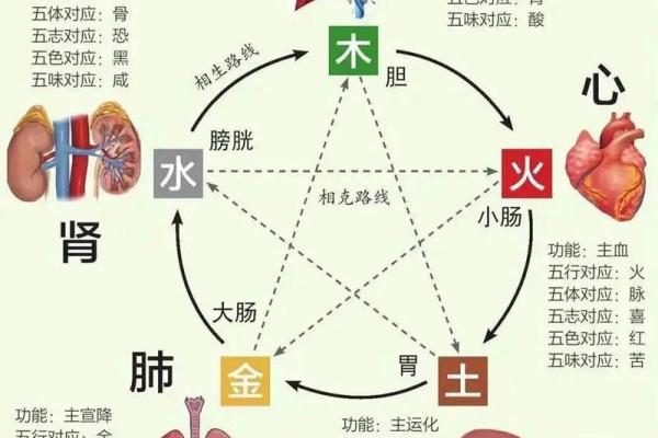 水命与属相不配的那些事：揭秘相克的秘密！