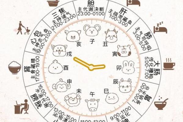 巳时揭秘：巳时出生的人命运与性格特征分析