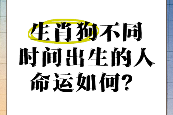 1970年属狗，命运与性格的深度解读