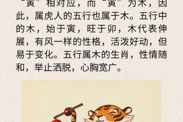 揭开1998年虎年的神秘面纱：生肖虎的命运与性格解析