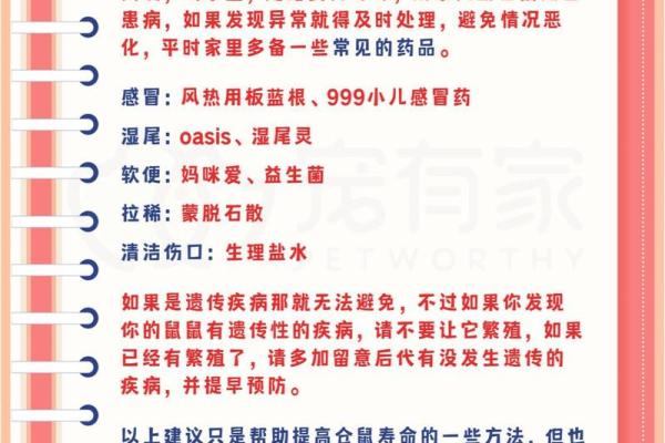 不同品种苍鼠的寿命揭秘：哪个品种活得更久？