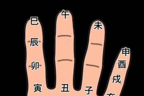 不同出生月的甲虫命运解析，你是哪个月的甲虫？