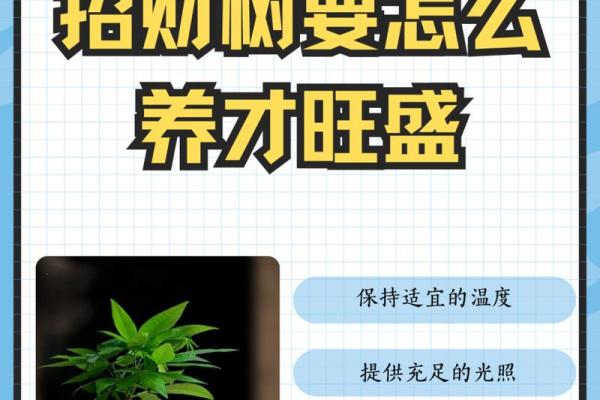 水命人如何通过养植物招财致富的秘诀