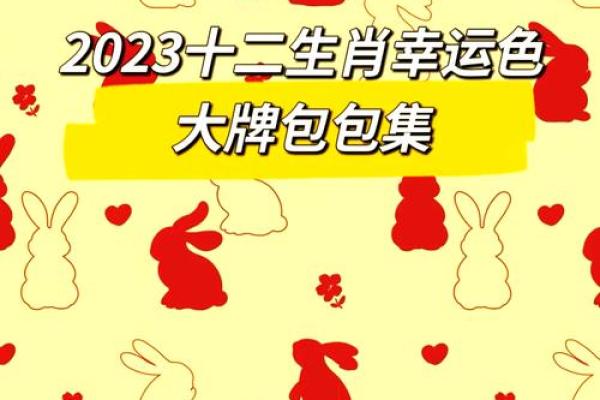 揭秘2023年50岁属狗人的命运与人生道路
