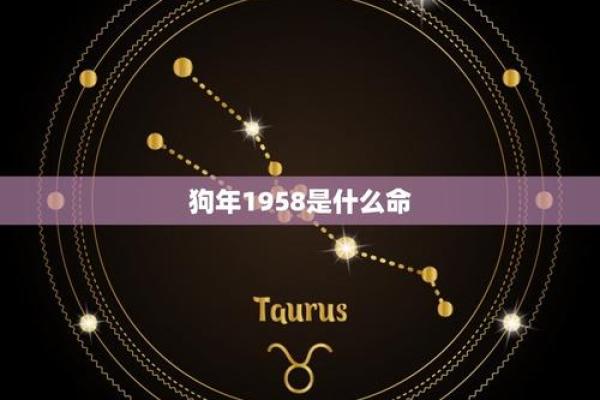 1958年出生者的命星座分析与人生启示