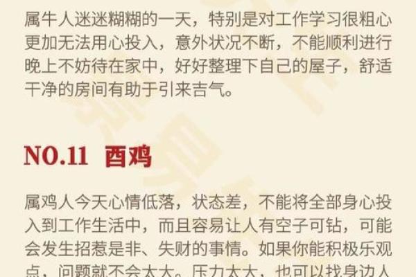 根据你属什么生肖，解析你的命运与人生