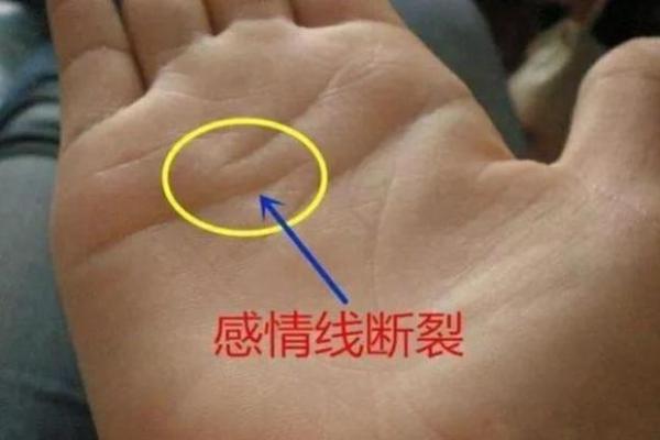 双手断掌：命运的象征与人生的启示