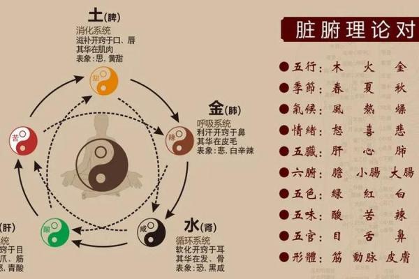 命理解析：相生相克，揭示命与命之间的微妙关系