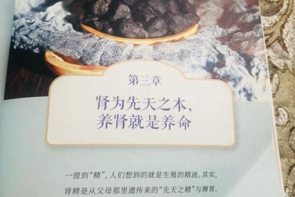 养命的真正含义与生活中的重要性
