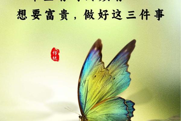 养命的真正含义与生活中的重要性