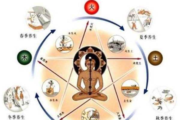 探寻2020属鼠人的命运与人生智慧：从五行看成功之道