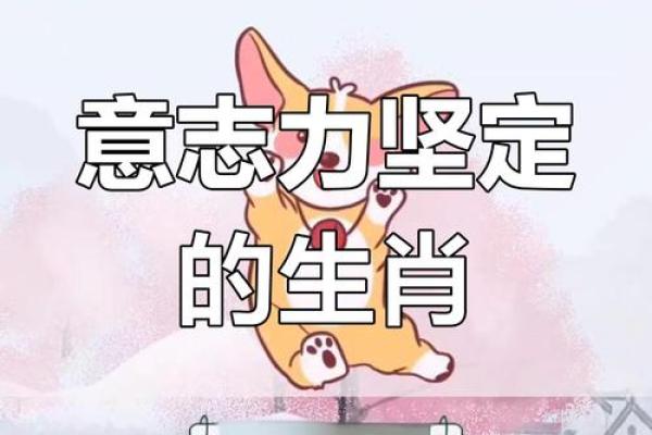 45年的兔子命运：吉凶与性格解析，揭开生肖兔神秘面纱！