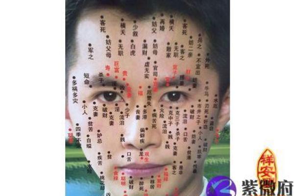 天生独眼男人的命运与人生智慧探讨