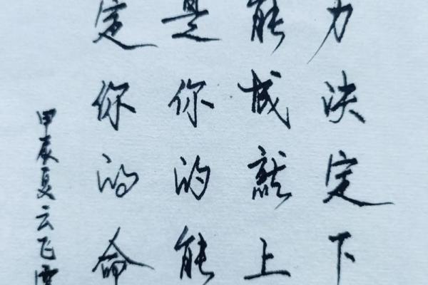 2022虎年命格详解：揭开你的命运之谜，助你成就辉煌人生！