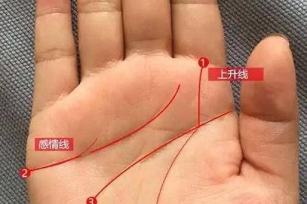 为什么断掌命运多舛，苦难连连？谈一谈断掌的迷信与现实