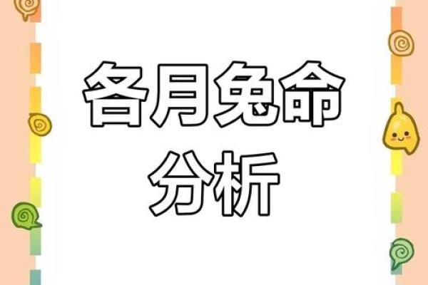 兔年子时的桃花命：爱情与运势的神奇交织
