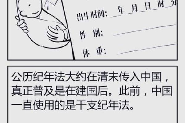 82狗年出生的命运与性格分析：命理与人生的有趣对比