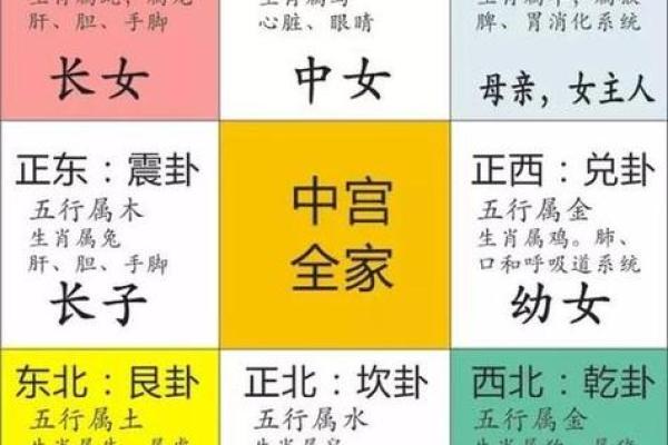 探寻石榴木命的灵性：配带什么能助你提升运势？