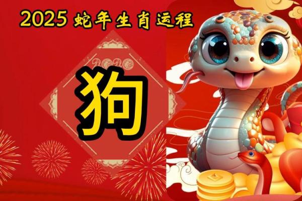 一九六二年属什么命？解析生肖狗的命理与性格魅力