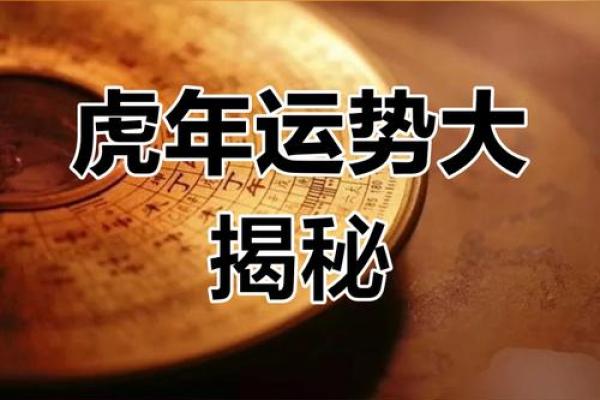 1996年出生的虎命人，运势与性格的完美结合