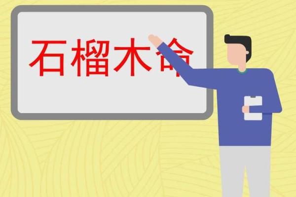 石榴木命适合的年龄段与发展机遇探讨