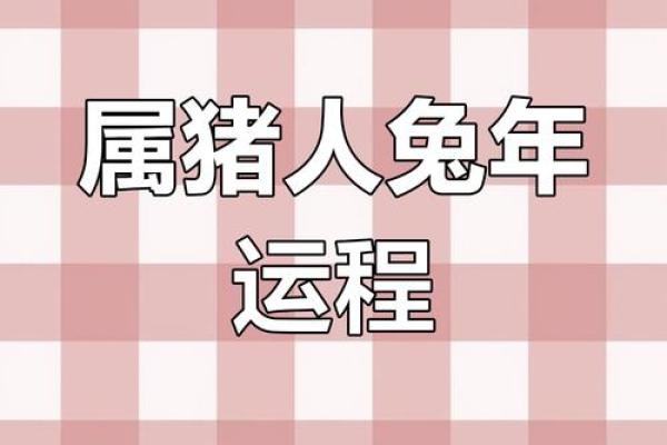2011年兔年命理解析：探寻兔年出生者的性格与运势