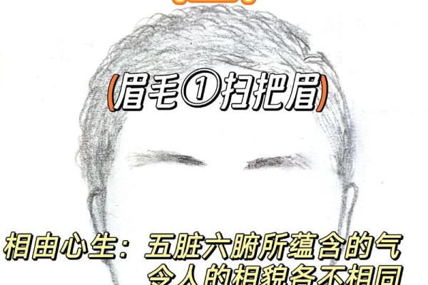 男生眉毛分叉，揭示命运背后的秘密！