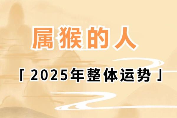1992年出生的人：属猴的命运与性格分析