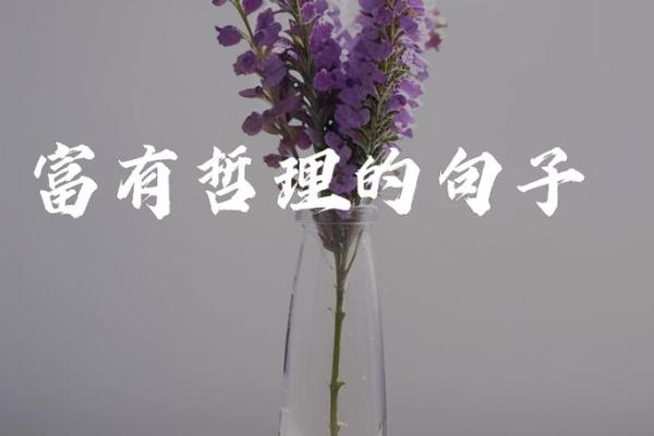 命运的掌控：成语揭示人生的智慧与哲理