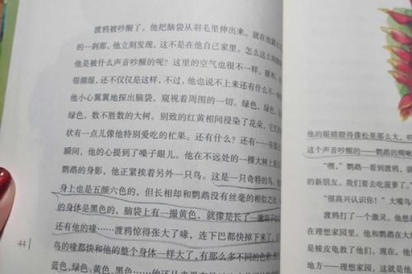 88年大林命：寻找理想命伴侣的智慧与指南